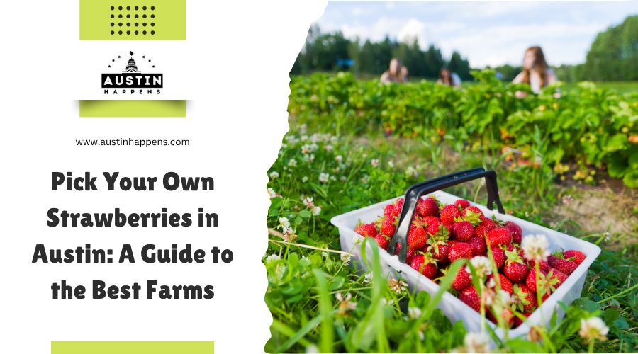 Pick Your Own Strawberries in Austin A Guide to the Best Farms